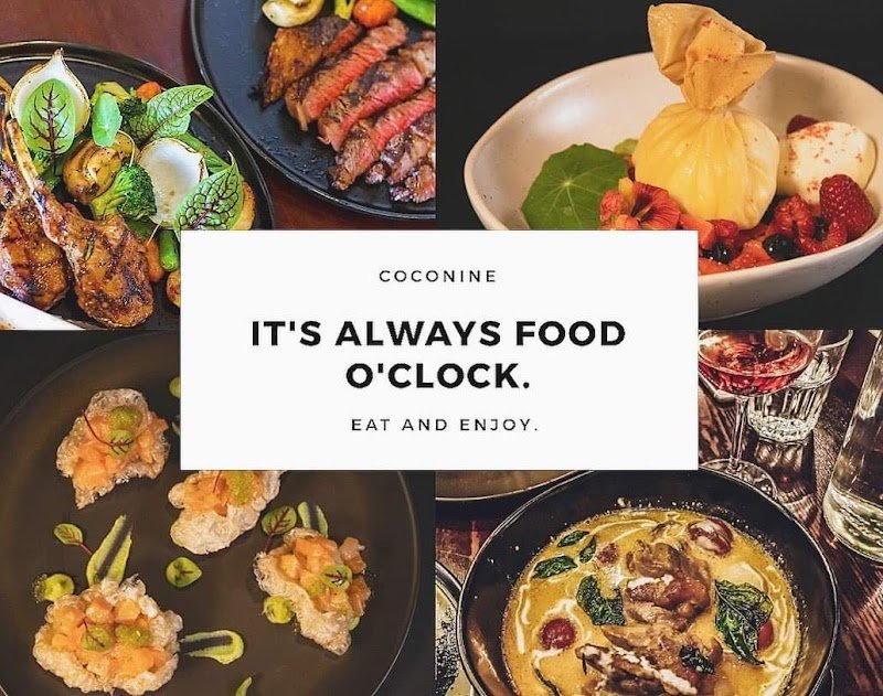 Coconine Kingston photo 2