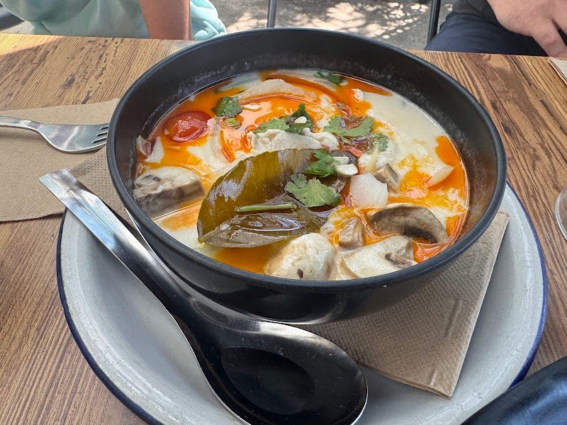 Coconine Kingston photo 5