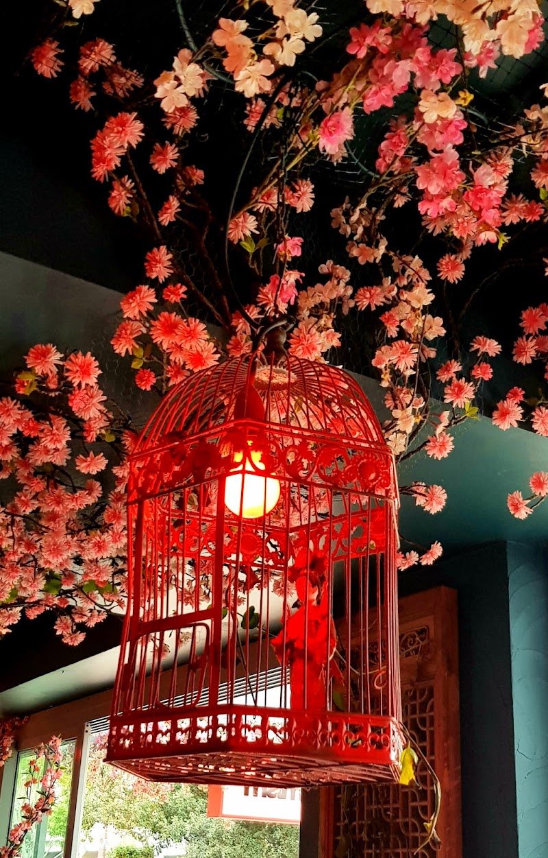 Mamasaan Bondi - Japanese Cuisine Restaurant and Bar in Bondi Beach photo 9